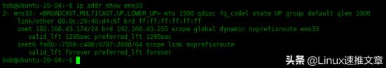 linux查询ip地址命令（linux应用开发实例）