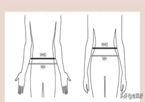 女性正常腰围对照表(女生标准腰围尺码表)